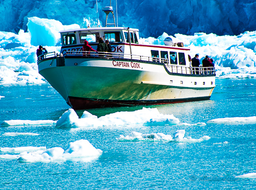 Tracy Arm 1611